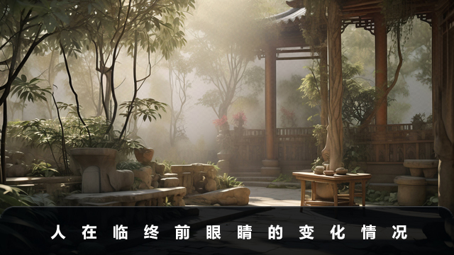 人将死前眼睛有什么变化？人在临终前眼睛的变化情况