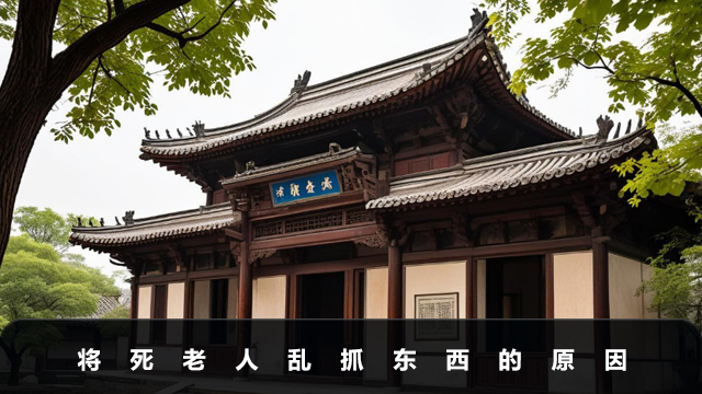 将死老人为什么会乱抓东西