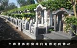 土葬遗体多久能化成白骨？土葬遗体的化成白骨的时间情况