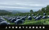 上午安葬好还是下午安葬好？上午安葬或下午安葬的考量