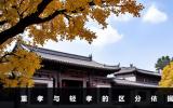 二婶过世侄子是重孝还是轻孝？重孝与轻孝的区分依据