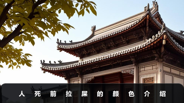 人死前拉屎是什么颜色？人死前拉屎的颜色介绍