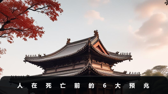 人在死亡前都有哪些预兆
